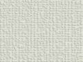 Slides diário de campo