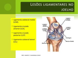 F ONTES DE V ITAMINA D




Gema ovo                                          Fígado
                                                           manteiga




  cavala                                                    sardinha
                                            arenque
           PROF. VAGNER SÁ - SAVAGNER@IG.COM.BR
 