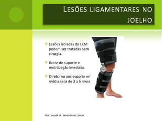 R ADIOGRAFIAS




PROF. VAGNER SÁ - SAVAGNER@IG.COM.BR
 