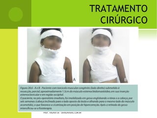 A RTROSE JOELHO




PROF. VAGNER SÁ - SAVAGNER@IG.COM.BR
 