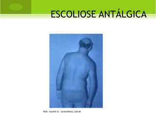 S CHEUERMANN TARDIA




PROF. VAGNER SÁ - SAVAGNER@IG.COM.BR
 