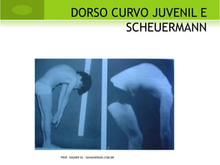 CLASSIFICAÇÃO




PROF. VAGNER SÁ - SAVAGNER@IG.COM.BR
 