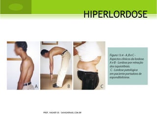 T RATAMENTO CIRÚRGICO




PROF. VAGNER SÁ - SAVAGNER@IG.COM.BR
 