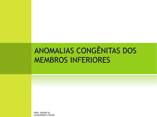 PROF. VAGNER SÁ - SAVAGNER@IG.COM.BR
 