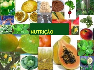 NUTRIÇÃO
 