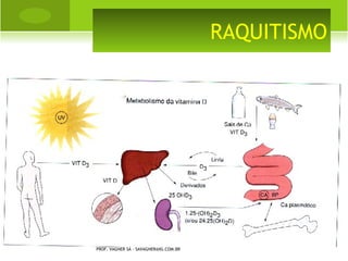 PROF. VAGNER SÁ - SAVAGNER@IG.COM.BR
 