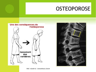 PROF. VAGNER SÁ - SAVAGNER@IG.COM.BR
 