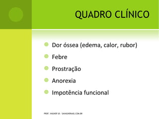 PROF. VAGNER SÁ - SAVAGNER@IG.COM.BR
 