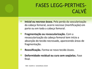 PROF. VAGNER SÁ - SAVAGNER@IG.COM.BR
 