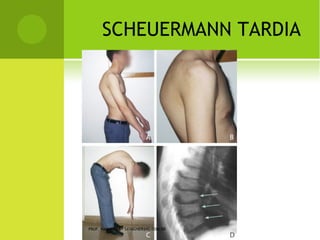 PROF. VAGNER SÁ - SAVAGNER@IG.COM.BR
 