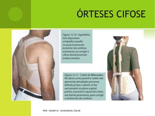 PROF. VAGNER SÁ - SAVAGNER@IG.COM.BR
 