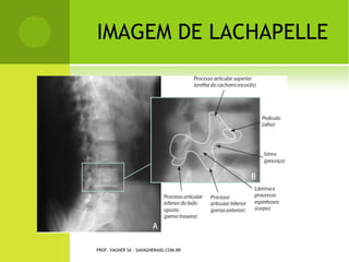 PROF. VAGNER SÁ - SAVAGNER@IG.COM.BR
 