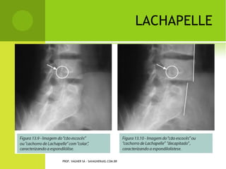 PROF. VAGNER SÁ - SAVAGNER@IG.COM.BR
 