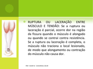 K LIPPEL -F EIL A SSOCIADO À
       E SCÁPULA A LTA C ONGÊNITA




PROF. VAGNER SÁ - SAVAGNER@IG.COM.BR
 
