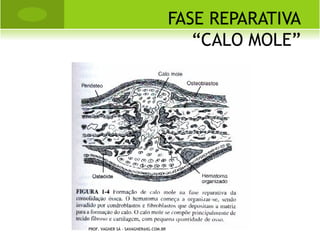 C OLETE DE M ILWAUKEE




PROF. VAGNER SÁ - SAVAGNER@IG.COM.BR
 