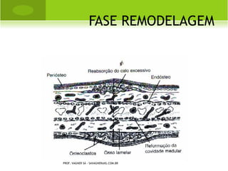PROF. VAGNER SÁ - SAVAGNER@IG.COM.BR
 