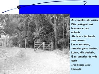 As cancelas são assim Dão passagem aos  humanos e aos  animais.  Abrindo e fechando  sem cansar. Ler e escrever,  também quero tentar. Lutar, não desistir. E as cancelas da vida  abrir Iraci Chagas Valez  Educanda  