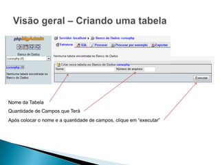 Nome da Tabela
Quantidade de Campos que Terá
Após colocar o nome e a quantidade de campos, clique em “executar”
 