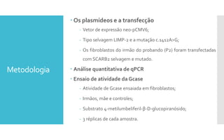 Metodologia
 Os plasmídeos e a transfecção
- Vetor de expressão neo-pCMV6;
- Tipo selvagem LIMP-2 e a mutação c.1412A>G;
- Os fibroblastos do irmão do probando (P2) foram transfectadas
com SCARB2 selvagem e mutado.
 Análise quantitativa de qPCR
 Ensaio de atividade daGcase
- Atividade de Gcase ensaiada em fibroblastos;
- Irmãos, mãe e controles;
- Substrato 4-metilumbeliferil-β-D-glucopiranósido;
- 3 réplicas de cada amostra.
 