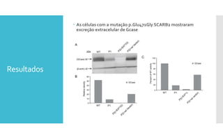 Resultados
 As células com a mutação p.Glu471Gly SCARB2 mostraram
excreção extracelular de Gcase
 