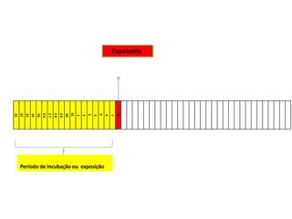 21
22
23
24
25
2
6
2
7
2
8
2
9
30
31
1
2
3
4
5
6
7
8
Exantema
Período de incubação ou exposição
 