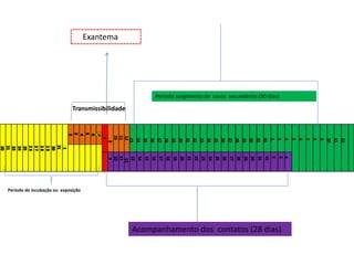 8
Período de incubação ou exposição
Período surgimento de casos secundários (30 dias)
Acompanhamento dos contatos (28 dias)
Transmissibilidade
Exantema
 