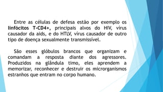 Entre as células de defesa estão por exemplo os
linfócitos T-CD4+, principais alvos do HIV, vírus
causador da aids, e do HTLV, vírus causador de outro
tipo de doença sexualmente transmissível.
São esses glóbulos brancos que organizam e
comandam a resposta diante dos agressores.
Produzidos na glândula timo, eles aprendem a
memorizar, reconhecer e destruir os microrganismos
estranhos que entram no corpo humano.
 