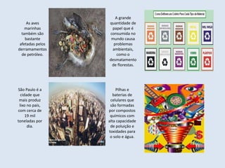 Pilhas e
baterias de
celulares que
são formadas
por compostos
químicos com
alta capacidade
de poluição e
toxidades para
o solo e água.
A grande
quantidade de
papel que é
consumida no
mundo causa
problemas
ambientais,
como o
desmatamento
de florestas.
São Paulo é a
cidade que
mais produz
lixo no país,
com cerca de
19 mil
toneladas por
dia.
As aves
marinhas
também são
bastante
afetadas pelos
derramamentos
de petróleo.
 