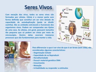 Seres Vivos
Com exceção dos vírus, todos os seres vivos são
formados por células. Célula é a menor parte com
forma definida que constitui um ser vivo dotada de
capacidade de autoduplicação (pode se dividir
sozinha). São as unidades estruturais e funcionais dos
organismos vivos. Podem ser comparadas aos tijolos
de uma casa. As células, em geral, possuem tamanho
tão pequeno que só podem ser vistas por meio de
microscópio. Dentro delas ocorrem inúmeros
processos que são fundamentais para manter a vida.
Para diferenciar o que é ser vivo do que é ser bruto (sem vida), são
consideradas algumas características:
- Organização Celular
- Capacidade de se Reproduzir
- Hereditariedade
- Possuir material genético DNA
- Crescimento
- Mutação
- Irritabilidade ou responder a estímulos
 