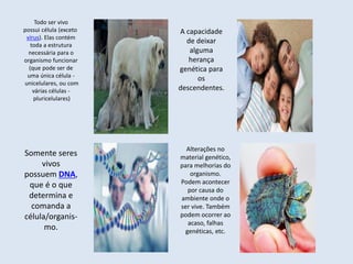 Todo ser vivo
possui célula (exceto
vírus). Elas contém
toda a estrutura
necessária para o
organismo funcionar
(que pode ser de
uma única célula -
unicelulares, ou com
várias células -
pluricelulares)
A capacidade
de deixar
alguma
herança
genética para
os
descendentes.
Somente seres
vivos
possuem DNA,
que é o que
determina e
comanda a
célula/organis-
mo.
Alterações no
material genético,
para melhorias do
organismo.
Podem acontecer
por causa do
ambiente onde o
ser vive. Também
podem ocorrer ao
acaso, falhas
genéticas, etc.
 