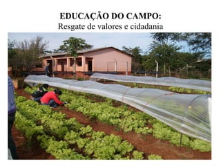 EDUCAÇÃO DO CAMPO:
Resgate de valores e cidadania
 
