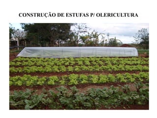 CONSTRUÇÃO DE ESTUFAS P/ OLERICULTURA
 