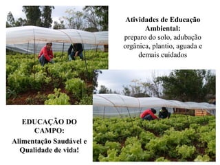 Atividades de Educação
                                Ambiental:
                         preparo do solo, adubação
                         orgânica, plantio, aguada e
                              demais cuidados




   EDUCAÇÃO DO
      CAMPO:
Alimentação Saudável e
  Qualidade de vida!
 