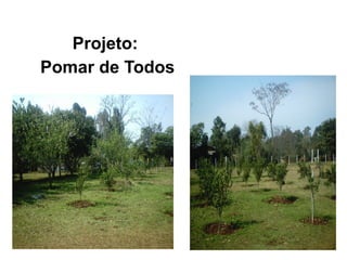 Projeto:
Pomar de Todos
 