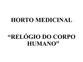 HORTO MEDICINAL

“RELÓGIO DO CORPO
     HUMANO”
 