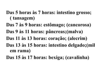 Das 5 horas às 7 horas: intestino grosso;
 ( tansagem)
Das 7 às 9 horas: estômago; (cancorosa)
Das 9 às 11 horas: pâncreas;(malva)
Das 11 às 13 horas: coração; (alecrim)
Das 13 às 15 horas: intestino delgado;(mil
 em rama)
Das 15 às 17 horas: bexiga; (cavalinha)
 
