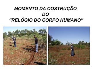 MOMENTO DA COSTRUÇÃO
            DO
“RELÓGIO DO CORPO HUMANO”
 