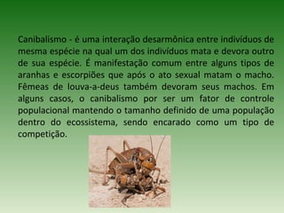 Canibalismo - é uma interação desarmônica entre indivíduos de
mesma espécie na qual um dos indivíduos mata e devora outro
de sua espécie. É manifestação comum entre alguns tipos de
aranhas e escorpiões que após o ato sexual matam o macho.
Fêmeas de louva-a-deus também devoram seus machos. Em
alguns casos, o canibalismo por ser um fator de controle
populacional mantendo o tamanho definido de uma população
dentro do ecossistema, sendo encarado como um tipo de
competição.

 