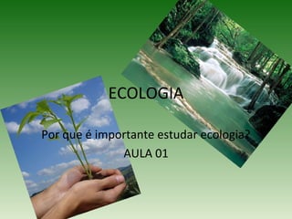 ECOLOGIA
Por que é importante estudar ecologia?
AULA 01

 