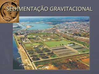 SEDIMENTAÇÃO GRAVITACIONAL
SEDIMENTAÇÃO GRAVITACIONAL
 