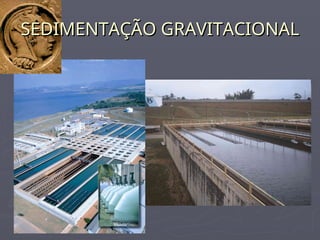 SEDIMENTAÇÃO GRAVITACIONAL
SEDIMENTAÇÃO GRAVITACIONAL
 