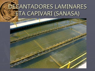 DECANTADORES LAMINARES
DECANTADORES LAMINARES
ETA CAPIVARI (SANASA)
ETA CAPIVARI (SANASA)
 