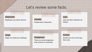 SLIDESMANIA.C
Let’s review some facts.
Elephants
Koalas are even more lazy
than cats.
Dogs
Elephants can sense storms.
Cat...