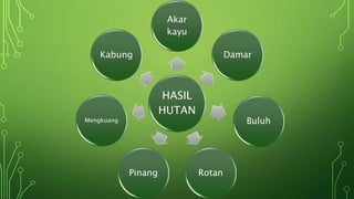 HASIL
HUTAN
Akar
kayu
Damar
Buluh
RotanPinang
Mengkuang
Kabung
 