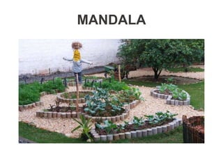 MANDALA
 
