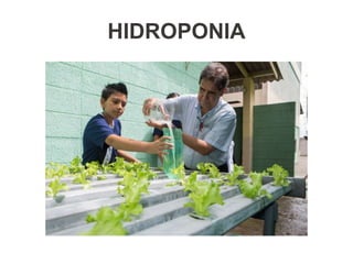 HIDROPONIA
 