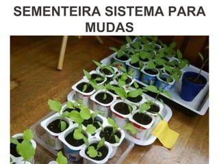 SEMENTEIRA SISTEMA PARA
MUDAS
 