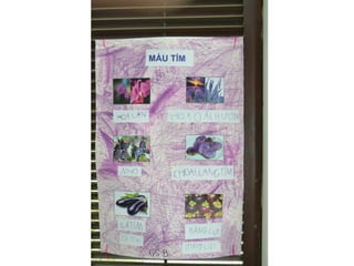 Semaine des langues 2015