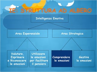 IE: STRUTTURA AD ALBERO
Intelligenza Emotiva

Area Esperenziale

Valutare,
Esprimere
e Riconoscere
le emozioni

Utilizzare
le emozioni
per facilitare
il pensiero

Area Strategica

Comprendere
le emozioni

Gestire
le emozioni

 