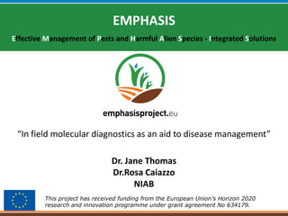 This project has received funding from the European Union’s Horizon 2020
research and innovation programme under grant agreement No 634179.
EMPHASIS
Effective Management of Pests and Harmful Alien Species - Integrated Solutions
Dr. Jane Thomas
Dr.Rosa Caiazzo
NIAB
“In field molecular diagnostics as an aid to disease management”
 